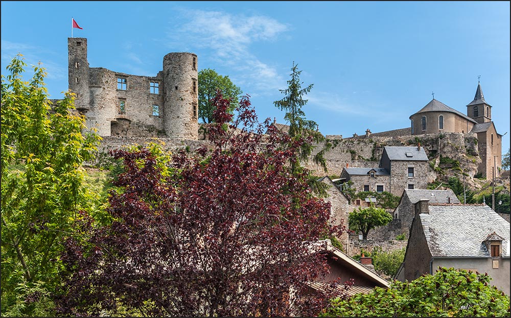 12310-Bertholène.